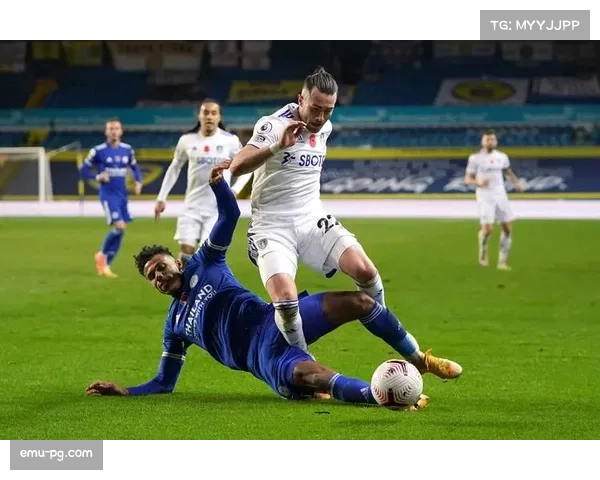 富勒姆主场因球迷投掷杂物导致比赛中断五分钟